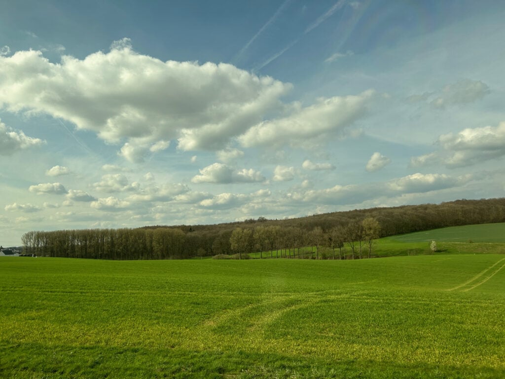 Grüne Wiese unter bewölktem Himmel