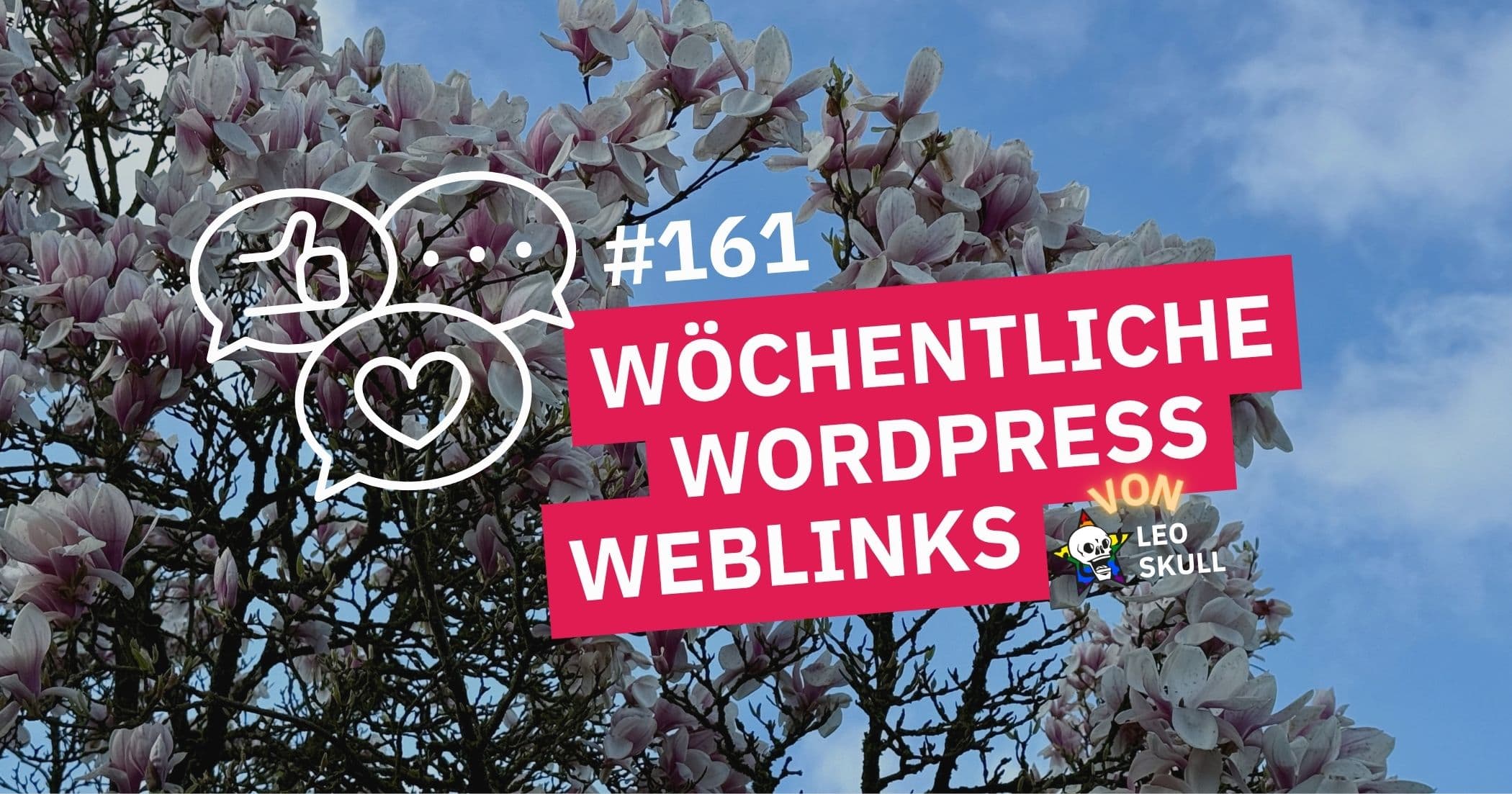 LS WWW Blog Featured Image & Google-161