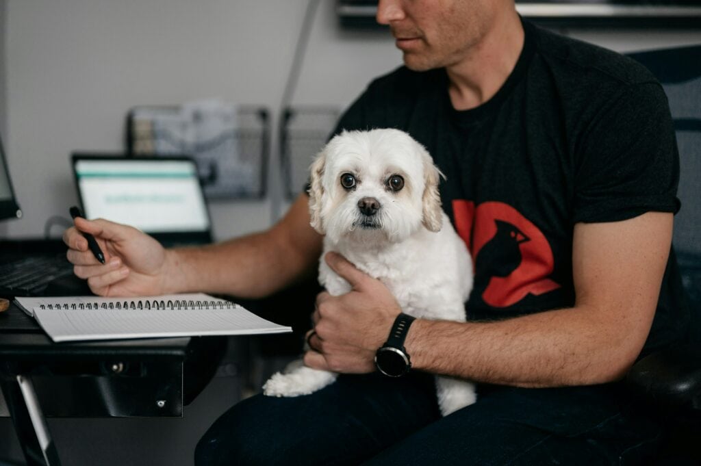 Mann mit Hund arbeitet am Schreibtisch.